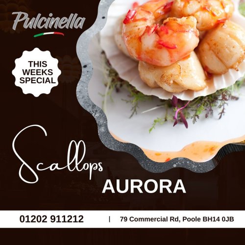 Photo post from pulcinellapoole.