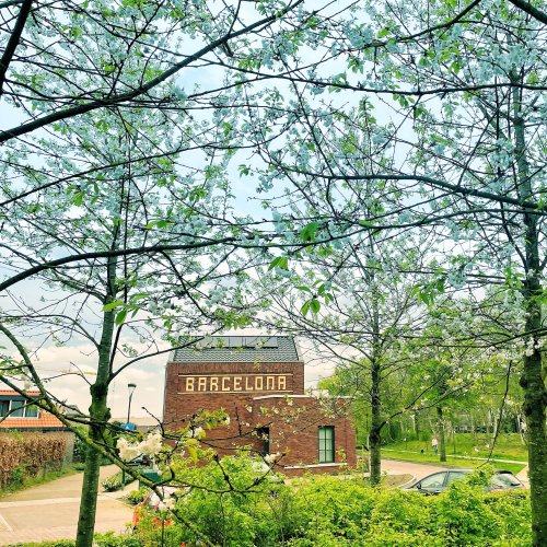 Photo post from visitoirschot.