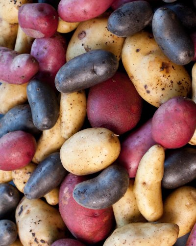 Carousel post from farmbox_arizona.