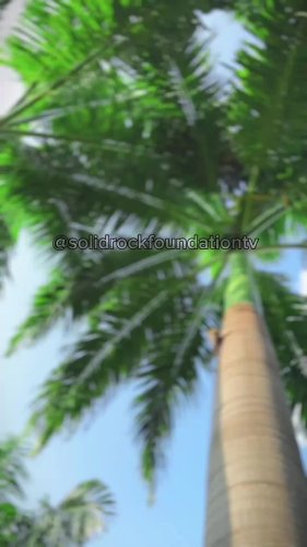 Video post from solidrockfoundation_.