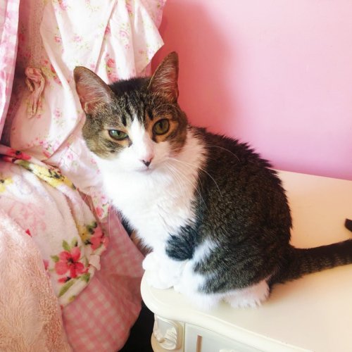 Photo post from margaritabloom.