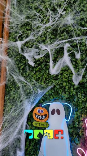 Video post from medicalpettj.