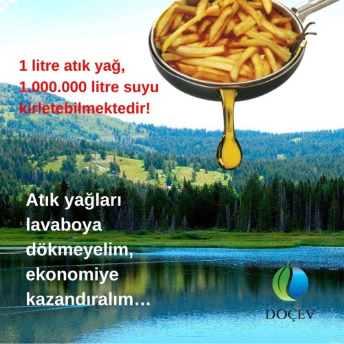 Photo post from dogavecevrevakfi.