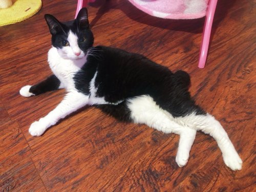 Photo post from margaritabloom.