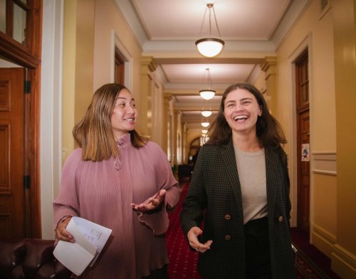 Carousel post from nzgreenparty.