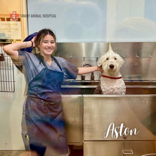 Photo post from familyanimalhospitalcm.