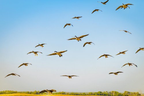 Photo post from northernskiesoutfitters.