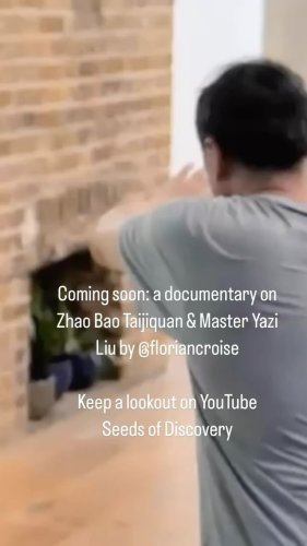 Video post from azischooloftaiji.