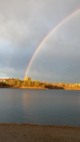 Video post from bostoncollege.