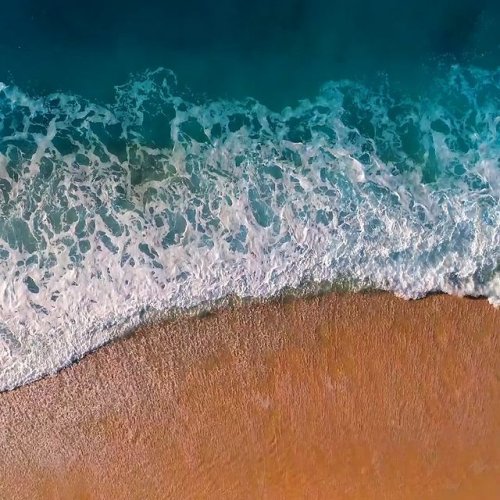 Video post from proximeo.
