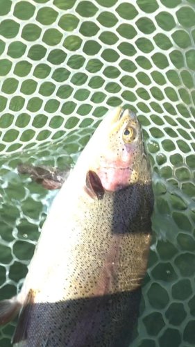 Video post from confluenceoutfitters.