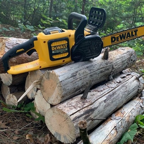 Photo post from dewalttough.