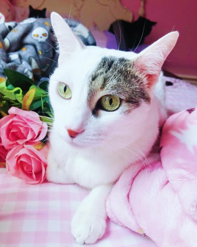 Photo post from margaritabloom.