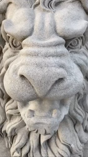 Video post from chronos_collection.