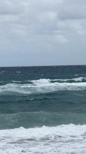 Video post from ejs_fishing_charters.