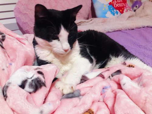 Photo post from margaritabloom.