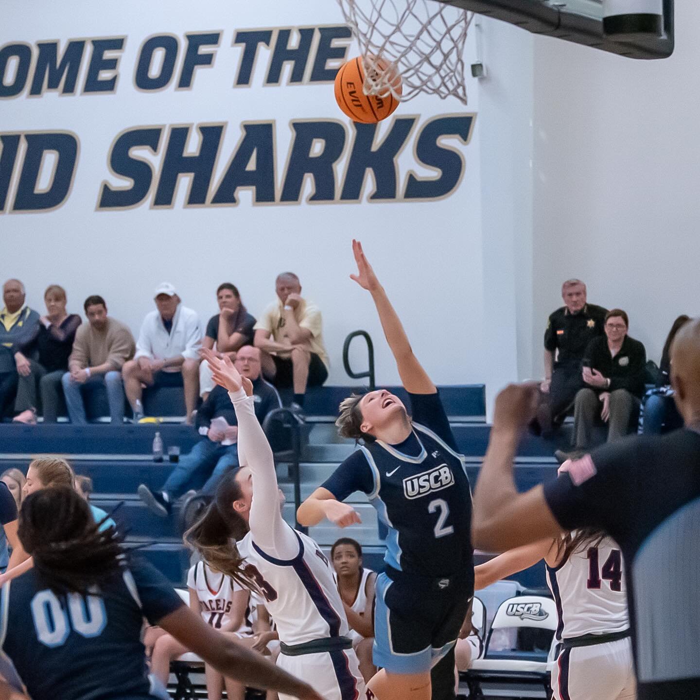 Photo post from uscbsandsharks.