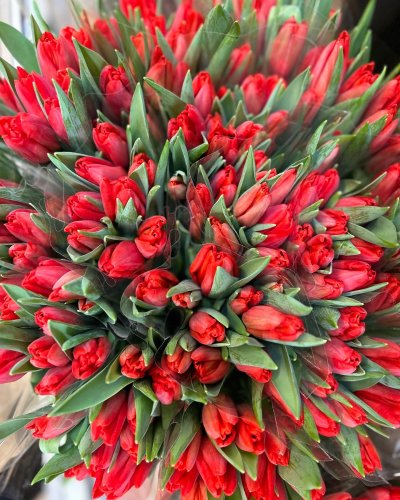 Photo post from blomsterborsen.