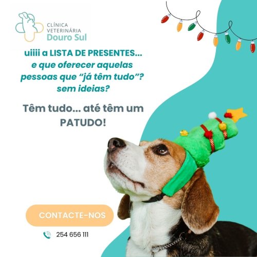 Photo post from clinica_veterinaria_dourosul.