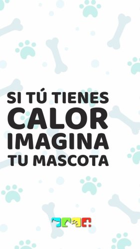 Video post from medicalpettj.