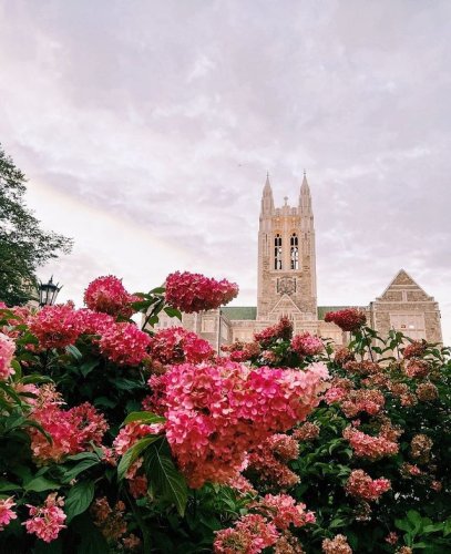 Photo post from bostoncollege.