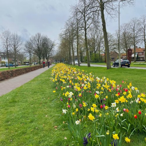 Photo post from visitoirschot.