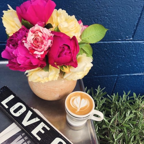 Photo post from equianocoffee.