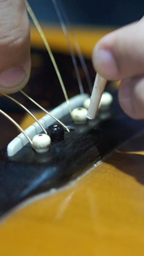 Video post from miyatamusic.