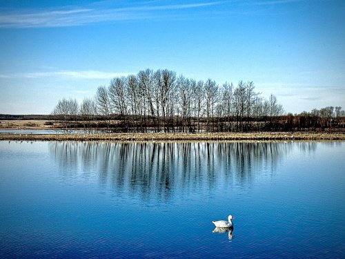 Photo post from northernskiesoutfitters.