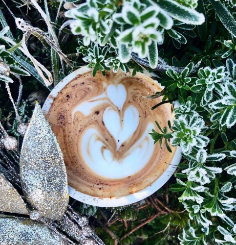 Photo post from equianocoffee.