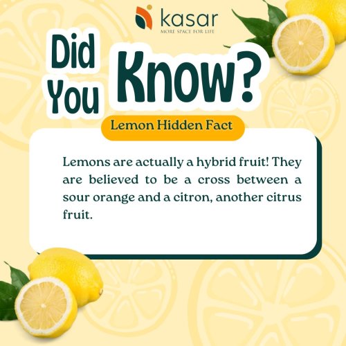 Photo post from kasarstays.