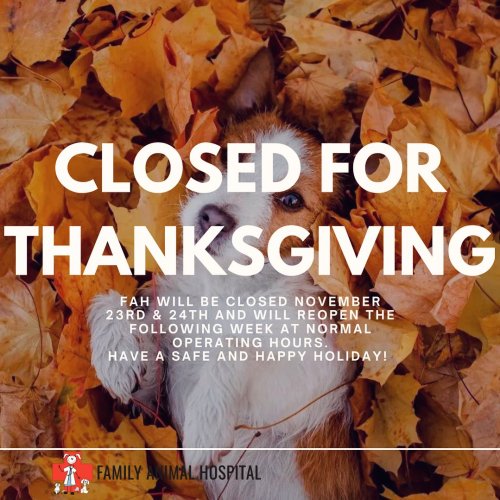 Photo post from familyanimalhospitalcm.