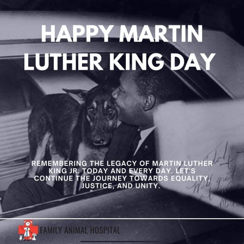 Carousel post from familyanimalhospitalcm.