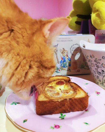 Carousel post from margaritabloom.