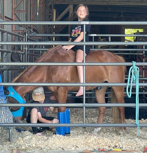 Photo post from reddirthatco.