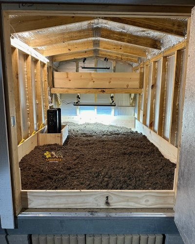 Carousel post from carapacecritters.