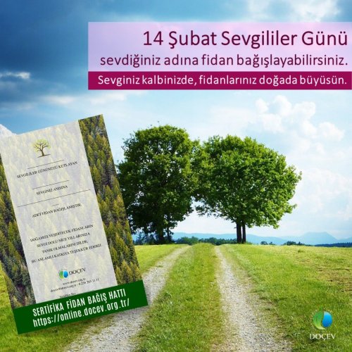 Photo post from dogavecevrevakfi.