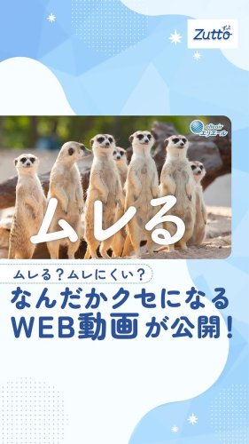 Video post from elleairofficial.