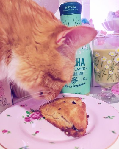 Carousel post from margaritabloom.