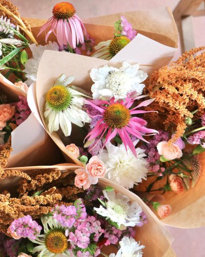 Carousel post from currumbinvalleyharvest.