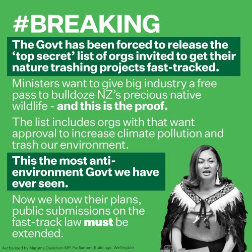 Photo post from nzgreenparty.