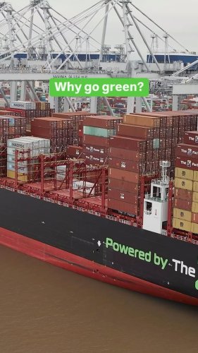 Video post from zimshipping.