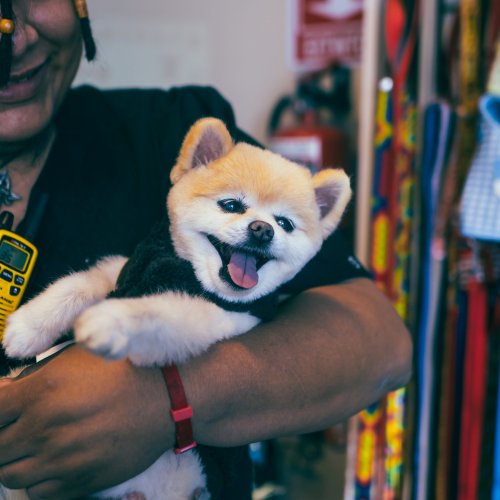 Photo post from medicalpettj.