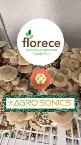 Video post from agrosonic.