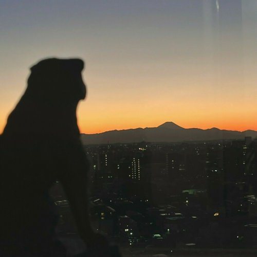Carousel post from city_shibuya_official.