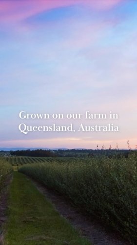 Video post from comvita_au.