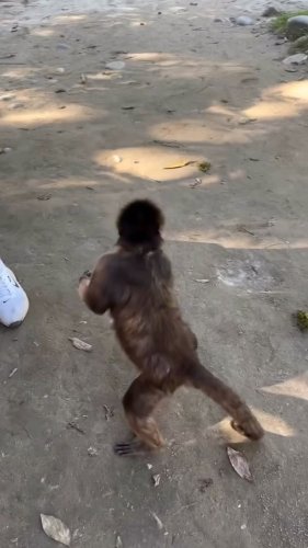 Video post from mehmetenliogluofficial.