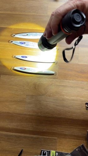 Video post from ejs_fishing_charters.