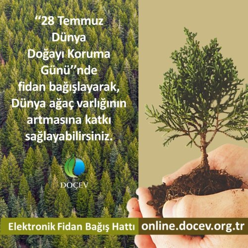 Photo post from dogavecevrevakfi.