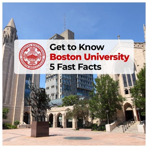 Carousel post from knovva_academy.